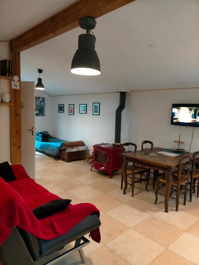 appartement meublé sur la route de Compostelle ! Aire-sur-lʼAdour Extérieur photo