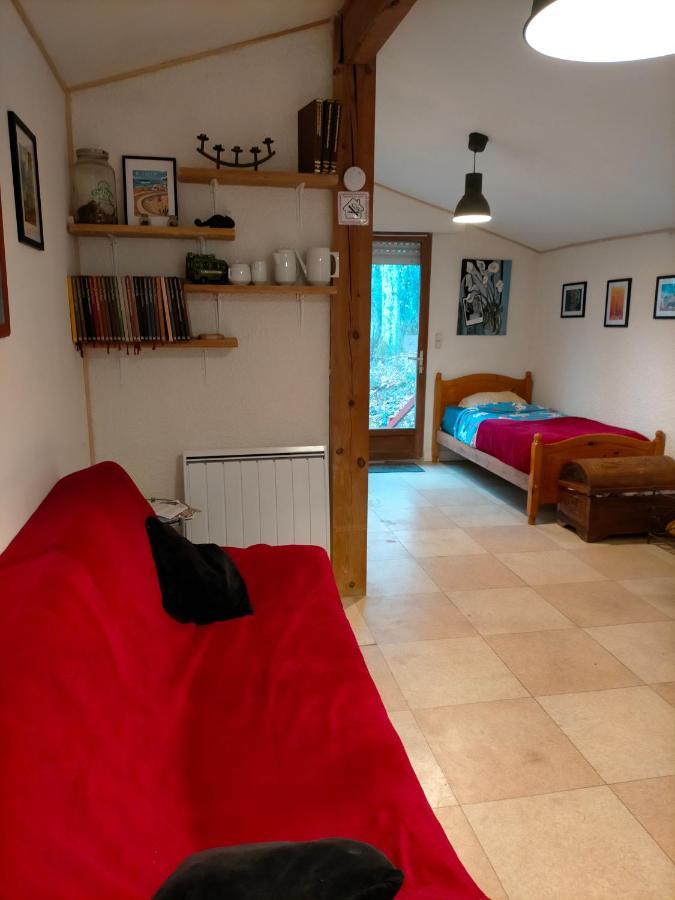 appartement meublé sur la route de Compostelle ! Aire-sur-lʼAdour Extérieur photo