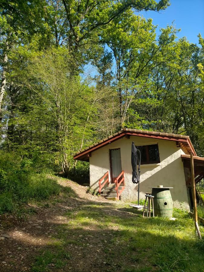 appartement meublé sur la route de Compostelle ! Aire-sur-lʼAdour Extérieur photo